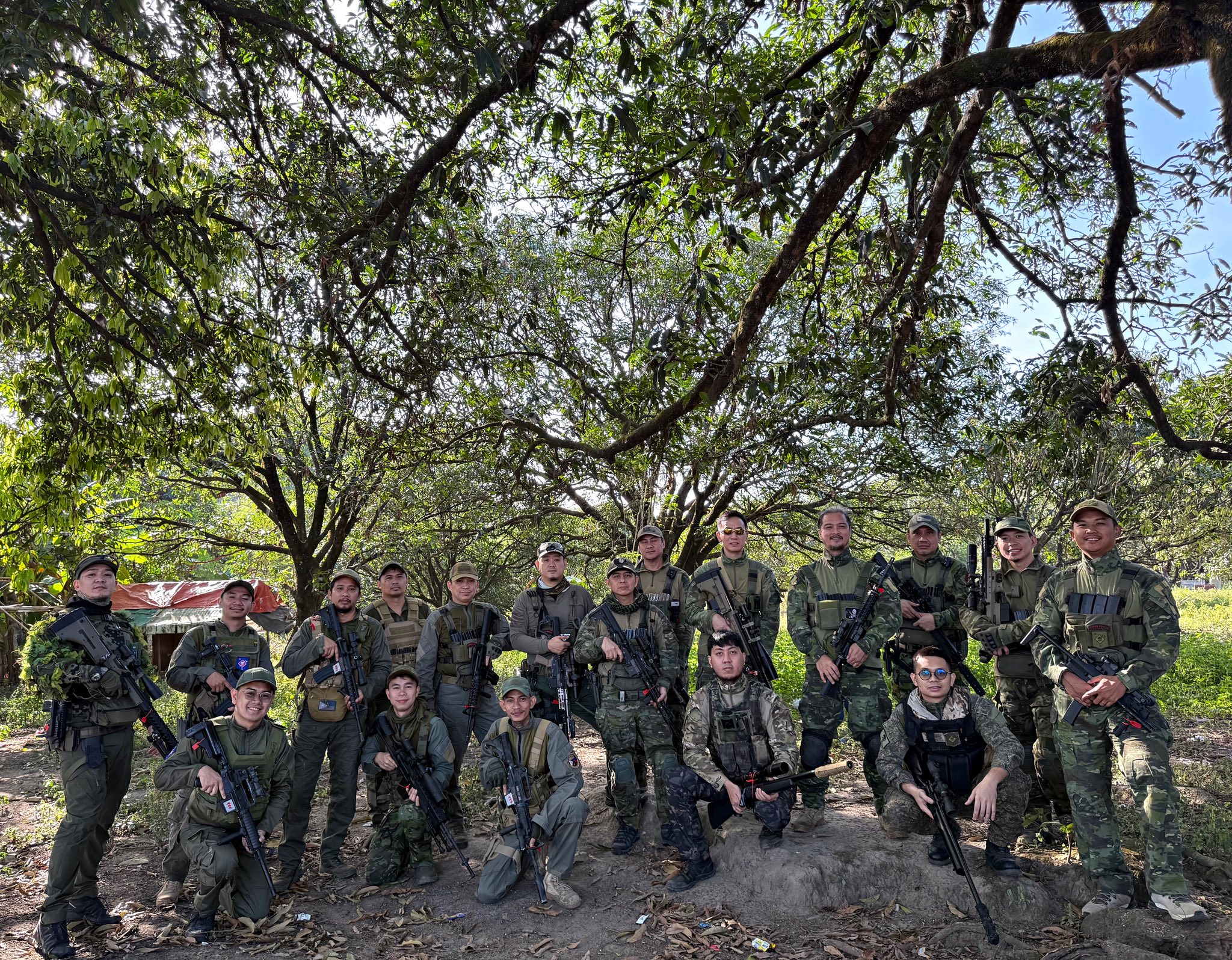 A large formation gathers beneath the tree canopy.